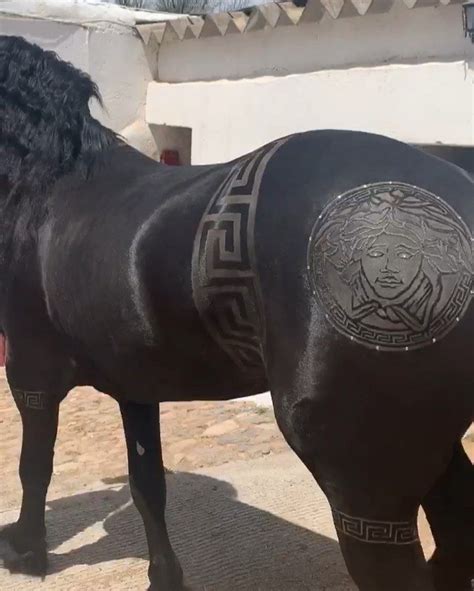 Versace horse meaning